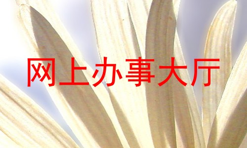 网上办事大厅