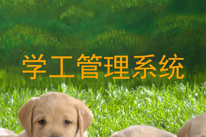 学工管理系统