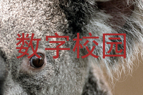 数字校园