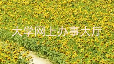 大学网上办事大厅