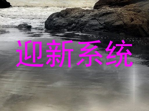 迎新系统