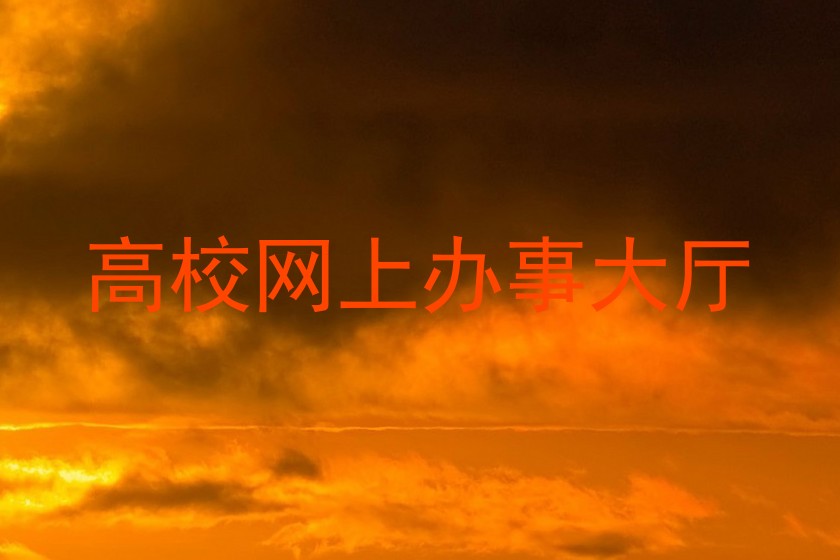 高校网上办事大厅