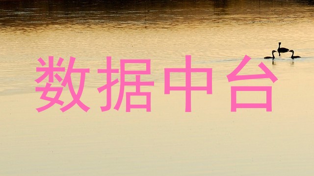 数据中台