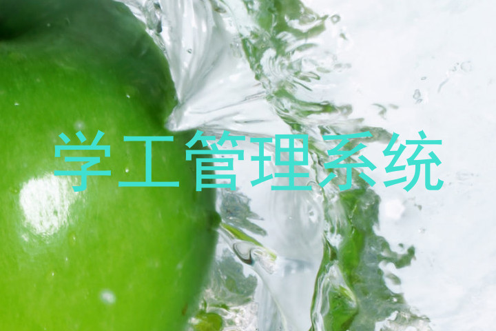 学工管理系统