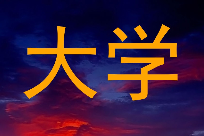 大学
