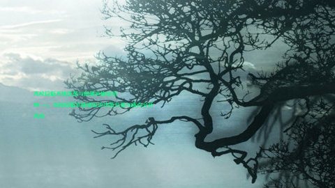 高校迎新系统选型与部署实施指南
## 一、高校迎新系统建设的决策背景与痛点分析
高校