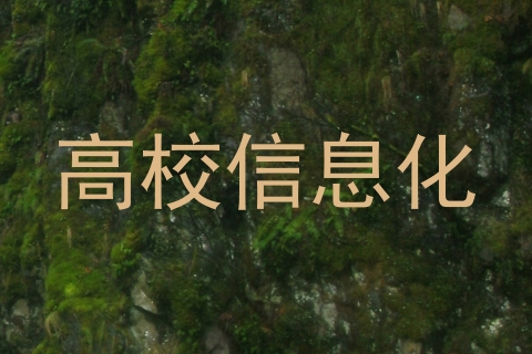 高校信息化