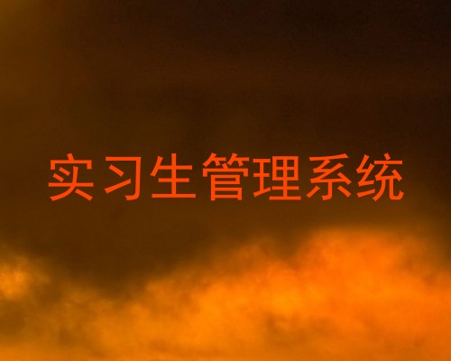 实习生管理系统