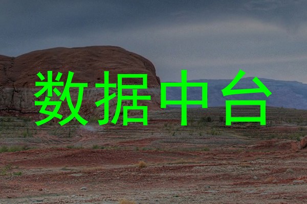 数据中台