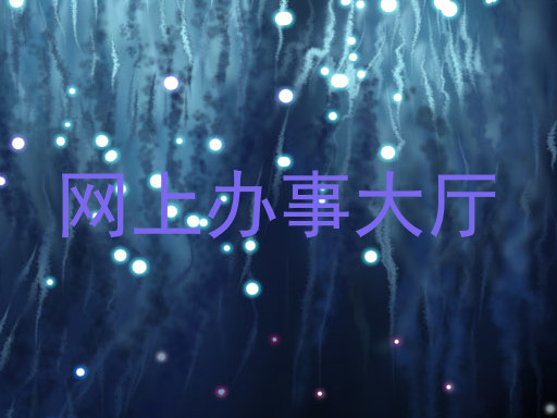 网上办事大厅