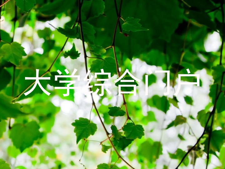 大学综合门户