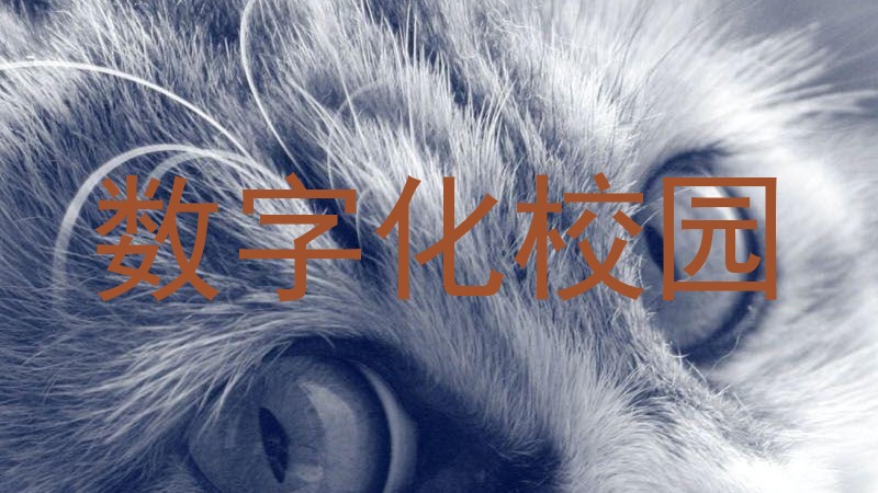 数字化校园