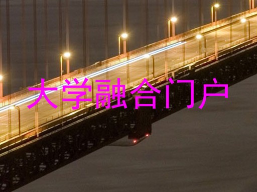 大学融合门户