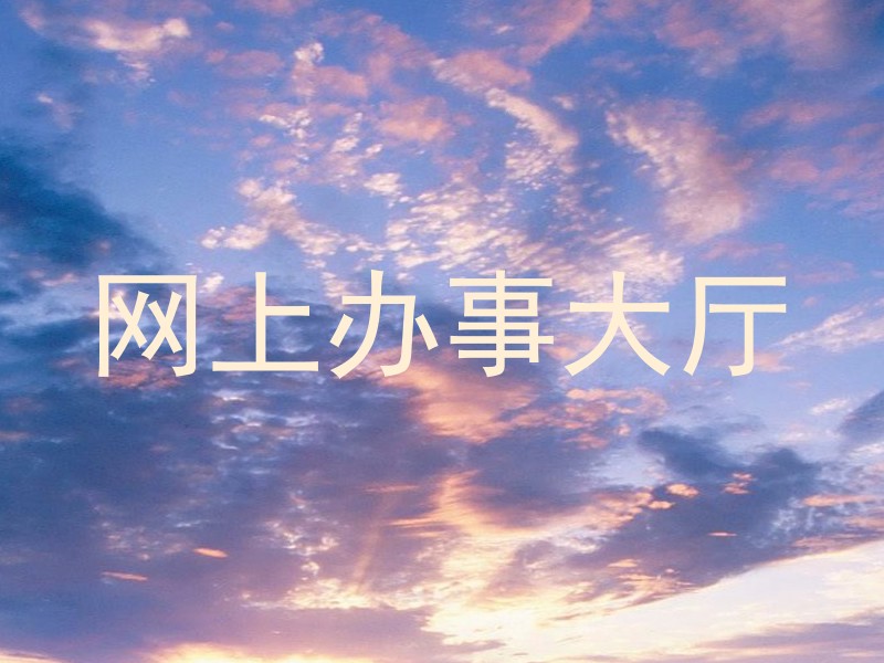 网上办事大厅