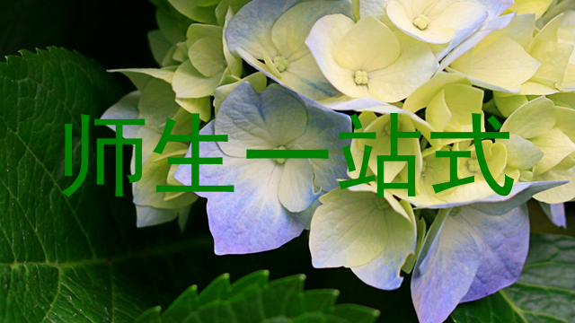 师生一站式