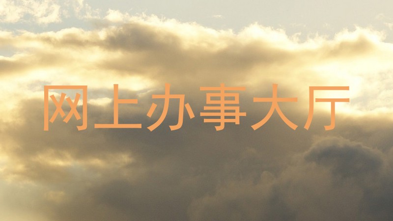 网上办事大厅