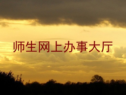 师生网上办事大厅