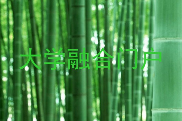 大学融合门户