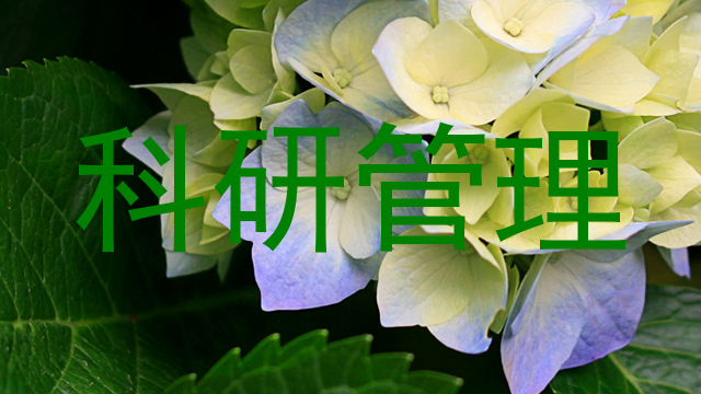 科研管理
