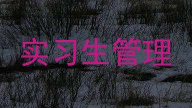实习生管理