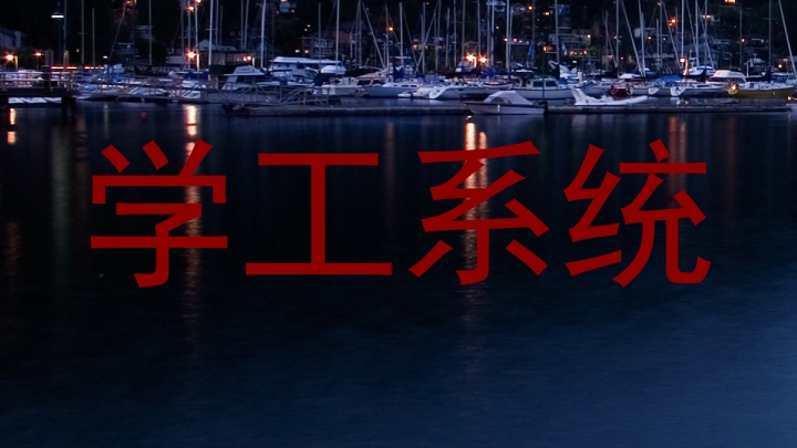 学工系统