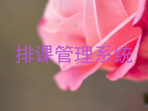 排课管理系统