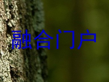 融合门户