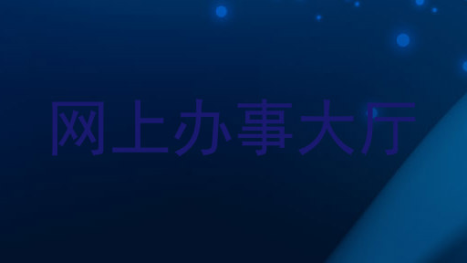 网上办事大厅