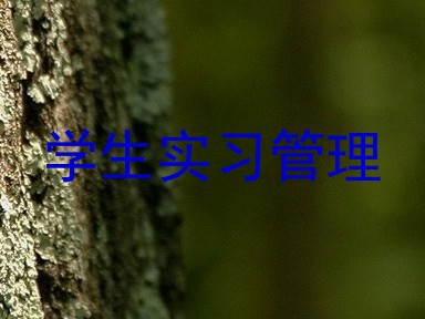 学生实习管理