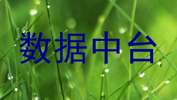 数据中台