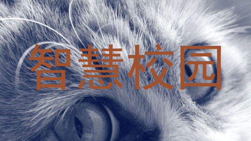 智慧校园