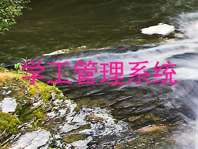 学工管理系统