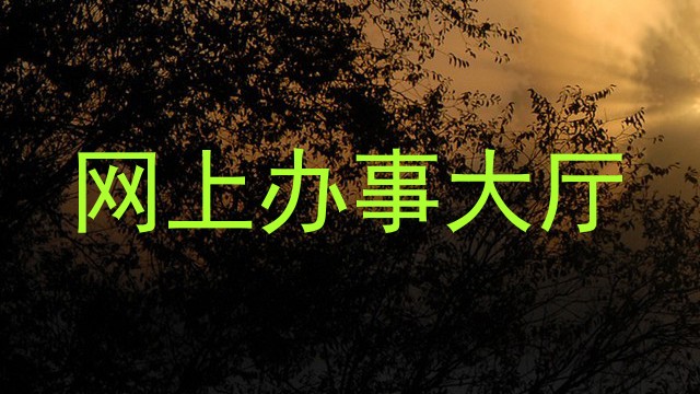 网上办事大厅
