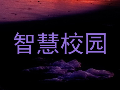 智慧校园