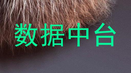 数据中台