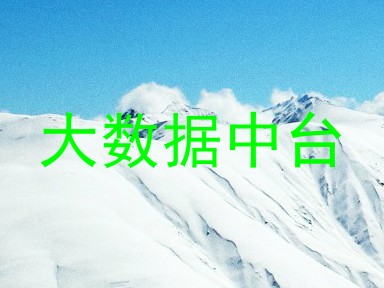 大数据中台