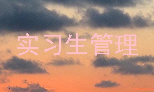 实习生管理