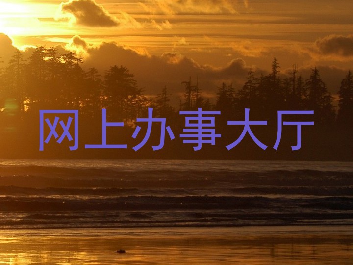 网上办事大厅