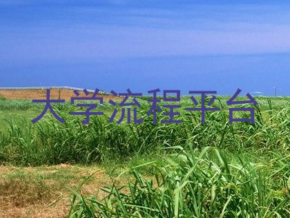 大学流程平台