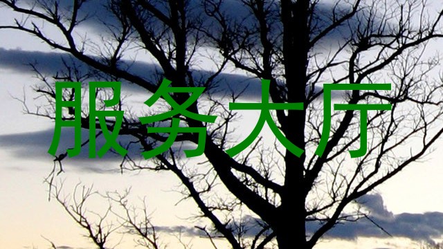 服务大厅