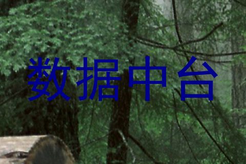 数据中台