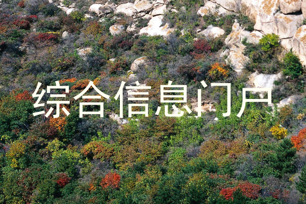 综合信息门户