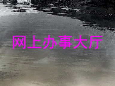 网上办事大厅