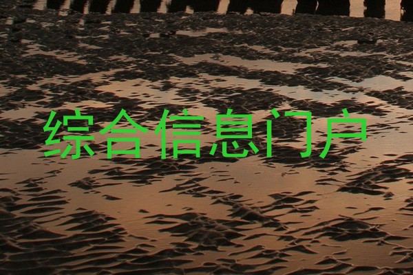 综合信息门户