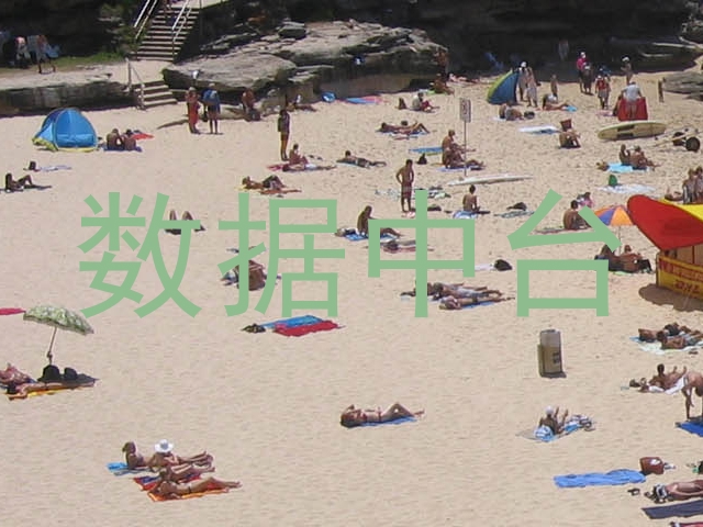 数据中台