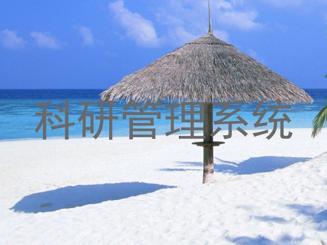 科研管理系统