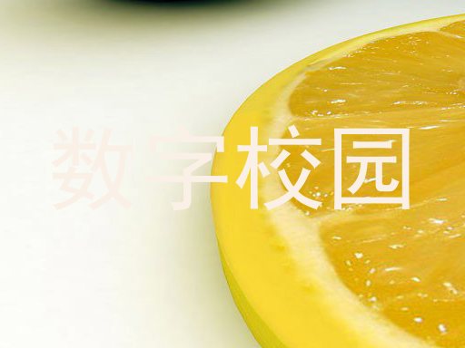 数字校园