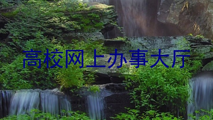 高校网上办事大厅