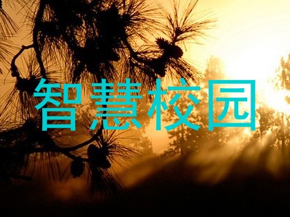 智慧校园