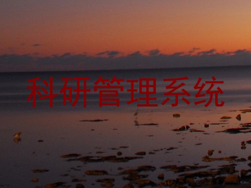 科研管理系统